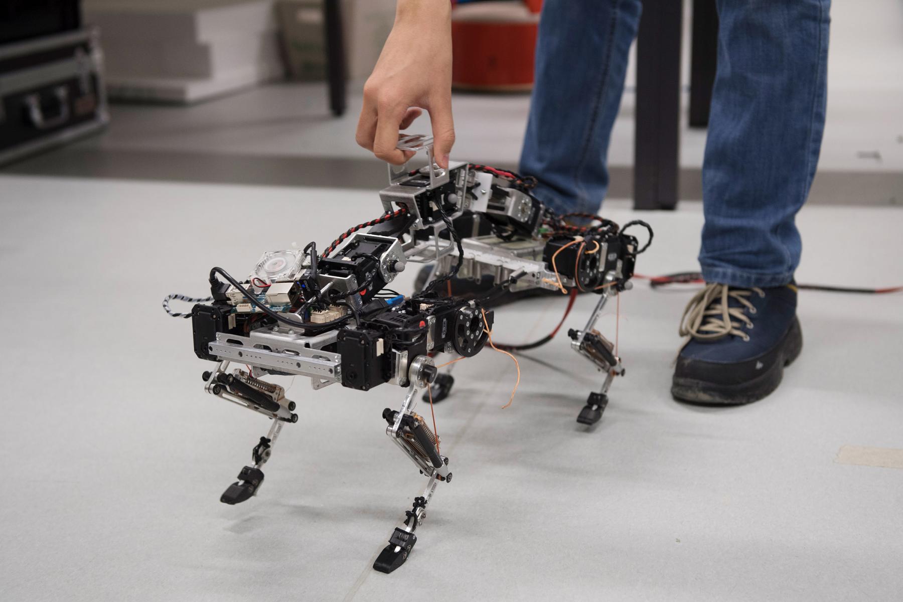 maxon_motor_biorobotics_epfl_2381.jpg